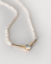 Queen of the Night